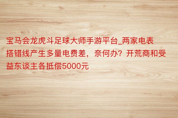 宝马会龙虎斗足球大师手游平台_两家电表搭错线产生多量电费差，奈何办？开荒商和受益东谈主各抵偿5000元