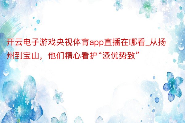 开云电子游戏央视体育app直播在哪看_从扬州到宝山，他们精心看护“漆优势致”