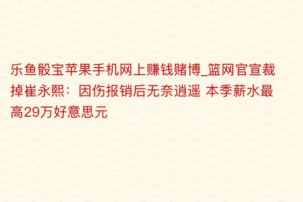 乐鱼骰宝苹果手机网上赚钱赌博_篮网官宣裁掉崔永熙：因伤报销后无奈逍遥 本季薪水最高29万好意思元
