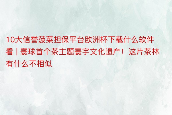 10大信誉菠菜担保平台欧洲杯下载什么软件看 | 寰球首个茶主题寰宇文化遗产！这片茶林有什么不相似